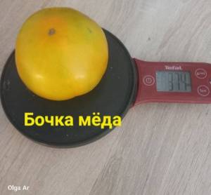 20250612_080427.thumb.jpg.c0e5d6b31ced7ff7ca6e2338b1155e7f.jpg