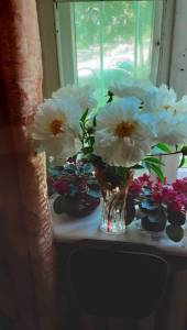 20250615_101410.jpg