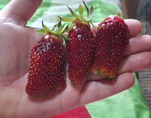 20250617_144055.jpg