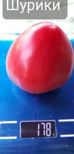 20250626_061657.jpg