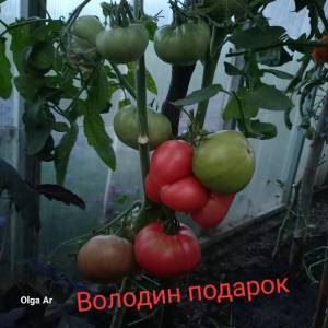 20250628_203429.jpg