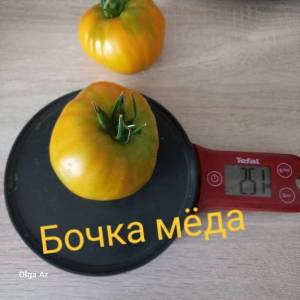 20250630_102058.jpg