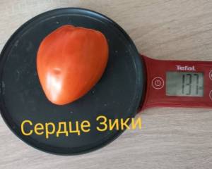 20250630_105629.jpg
