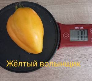 20250630_111003.jpg
