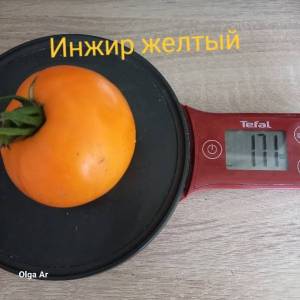 20250630_111832.jpg