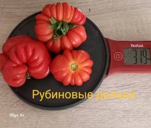 20250630_112241.jpg