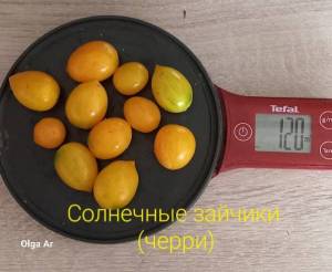 20250630_112550.thumb.jpg.460d473c972a31196d5f12823394282a.jpg