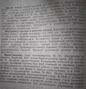 буденовка2.jpeg