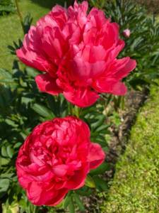 31E2BBFA-8B76-47EF-9983-BC52E2BA37B7.jpeg