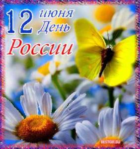 339200851.jpg
