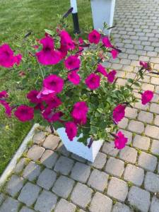 3EA1A588-A4D4-49BE-848C-B62473E5ECC1.jpeg