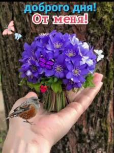 4717e08ce9db9adebefb309d866c253b.thumb.jpg.8d9b2b709407ac5eec4041465bead3e5.jpg