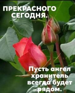 55f0dab95589941afebf6450fad54524.jpg