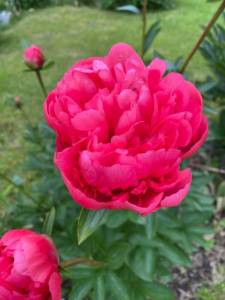 6308D24D-BD9A-4C1B-BB32-8E46A8887E90.jpeg
