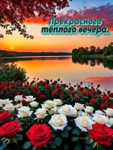 691783d3847ebd4f010bdfae98d9a0d5.thumb.jpg.269c4f20ed3a5d7b8f237f0fe7b942f5.jpg