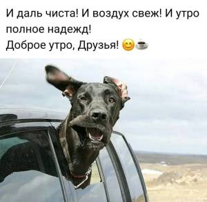 765af3ed30ac894d6a07487afca80366.thumb.jpg.73f8be9660a6d786818ae4ebdd573459.jpg