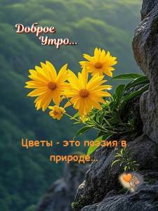 77931cb32d1a0e4f1c176383bf2bbf1d.thumb.jpg.8d4a3e631f35652269149add2556e29f.jpg