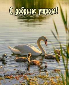 7e2b3e4c1ad87519213ce529cb4d2093.jpg