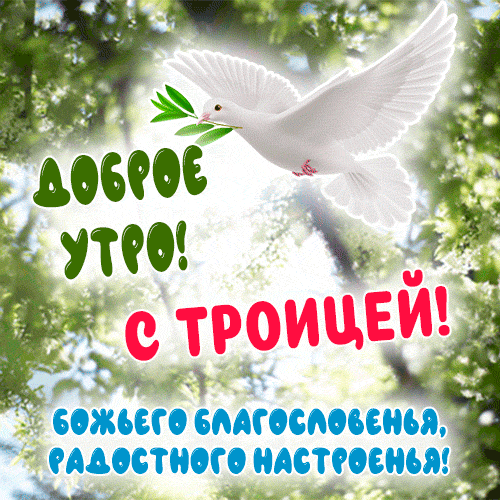 828376306_____.thumb.gif.12d562fa32051f4d5fa11f304858eae6.gif