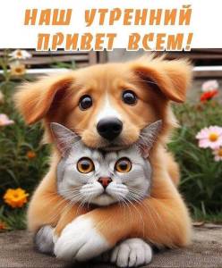 87ba494e8663b8076ce42ff8e56348d3.jpg