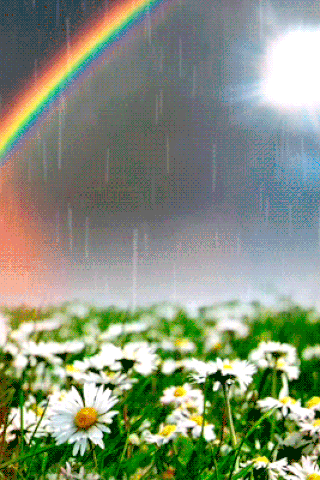 90ccb71938f8d6f37ccf59e93c5979e0.gif