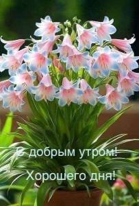 96aa053933a69224d23c16012b068bfa.jpg