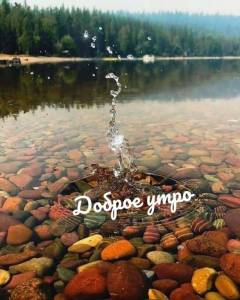 98072d143a8cd6e13f4a8b74c4a6d188.thumb.jpg.67b2cbb3fabad50e943391528c5da509.jpg