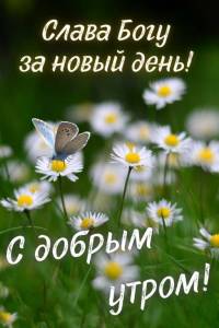 9af1a9d7239b0d8514e44d4a4562f363.jpg