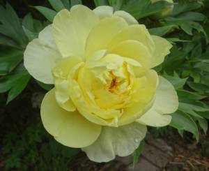 DSC02734.JPG
