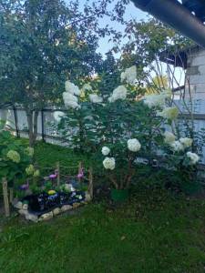 IMG-20241219-WA0007.jpg