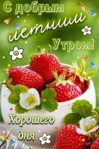 IMG-20250602-WA0000.jpg