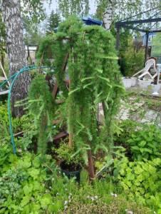 IMG-20250608-WA0025.jpg