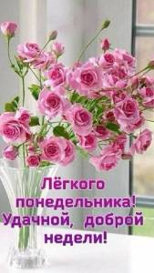 IMG-20250609-WA0014.jpg