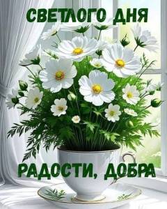 IMG-20250611-WA0001.jpg