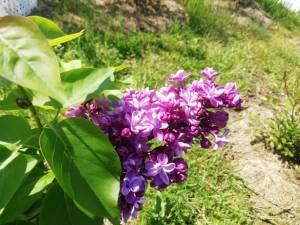 IMG-20250614-WA0000.jpg