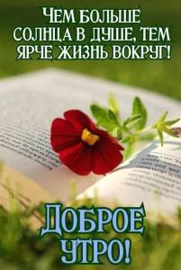 IMG-20250615-WA0001.jpg