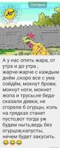 IMG-20250618-WA0317.jpg