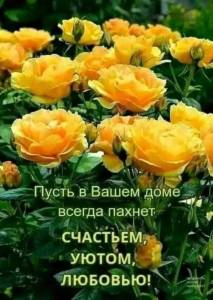 IMG-20250624-WA0001.jpg
