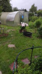 IMG-20250624-WA0009.jpeg