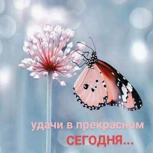 IMG-20250627-WA0001.jpg