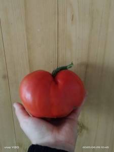 IMG-20250629-WA0037.thumb.jpg.1ec7e8618d4d0fd544cb0b79c38cf6d8.jpg