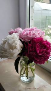 IMG20250604145348.thumb.jpg.0ae530778be688968cc96bfdd77c62df.jpg