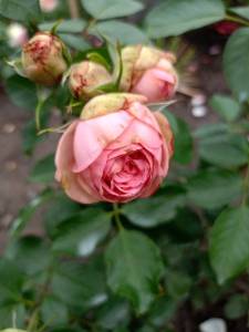 IMG20250619195512.jpg