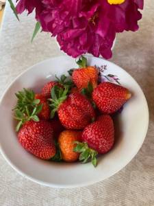 IMG_0286.jpeg