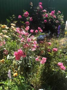 IMG_0848.jpeg