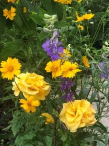 IMG_0874.jpeg