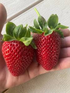 IMG_1459.jpeg