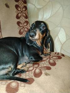 IMG_20250212_212910.thumb.jpg.e3a368bc094fc4d7816b8e2eb624d408.jpg