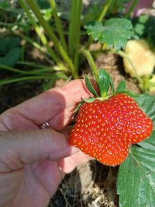 IMG_20250605_100157.jpg