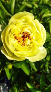 IMG_20250608_083643.thumb.jpg.268c29457c077539b6df8a405bb5cfd2.jpg
